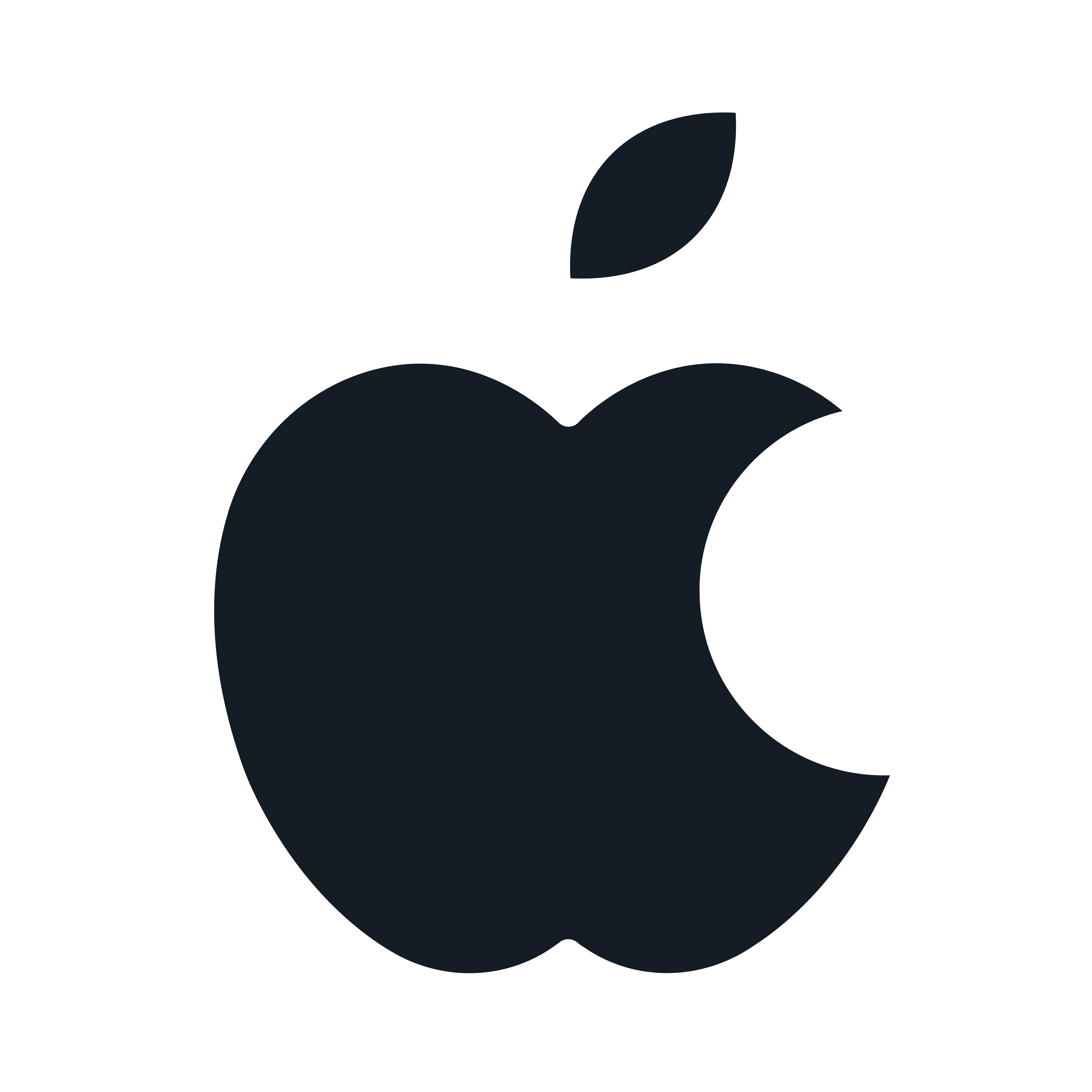 Apple Icon